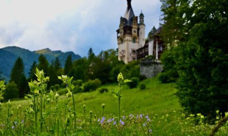 Sinaia, Schloss Peles, Blick auf die Karpaten
