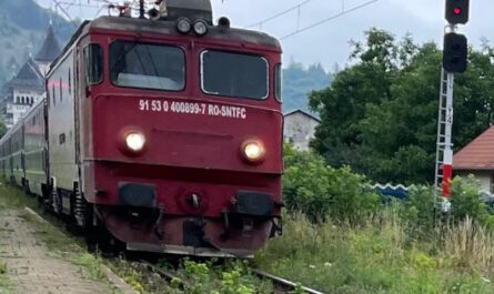 Zug in der Bukowina